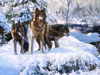 Пазл «three wolves»
