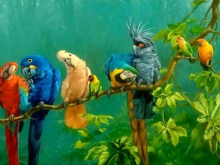 Пазл «Тропические попугаи»