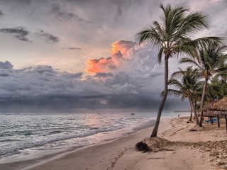 Rätsel «Tropical island»