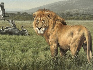 Jigsaw Puzzle «The king of beasts»