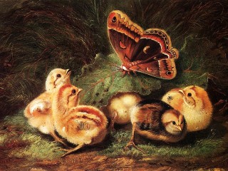 Quebra-cabeça «Chicks and butterfly»