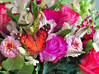 Пазл «Цветы и бабочка»