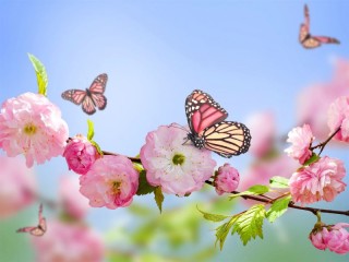 Пазл «Цветы и бабочки»