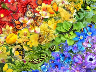 Puzzle «Flowers and butterflies»