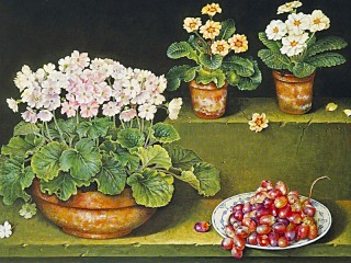 Rompecabezas «Flowers and grapes»