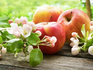 Jigsaw Puzzle «Flowers and apples»
