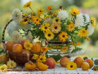 Jigsaw Puzzle «Flowers and berries»