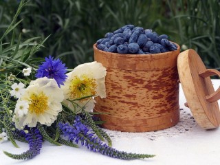 Slagalica «Flowers and berries»