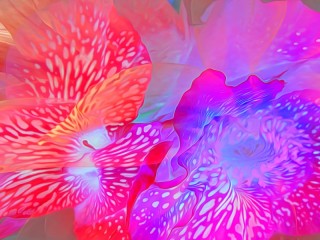 Пазл «Цветы как кораллы»