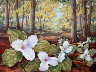Puzzle «Flowers in the forest»