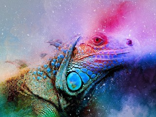 Пазл «Цветная рептилия»