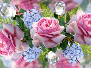 Bulmaca «Floral collage»