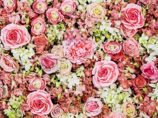 Пазл «Flower carpet»