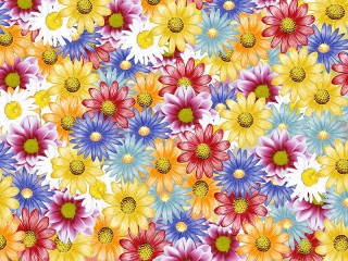 パズル «Flower carpet»