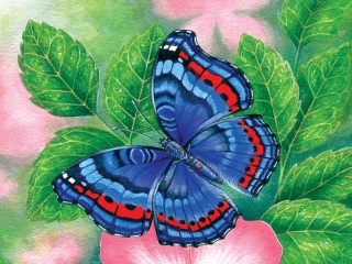 Jigsaw Puzzle «Flower and butterfly»