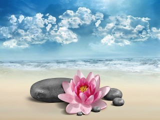 Jigsaw Puzzle «Flower and stones»