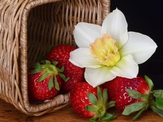 パズル «Flower and berries»