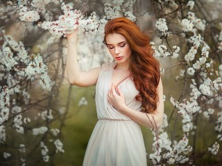 Слагалица «Cherry blossoms»