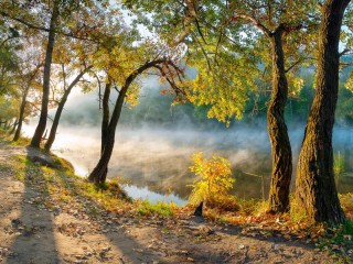 Puzzle «Fog over the river»