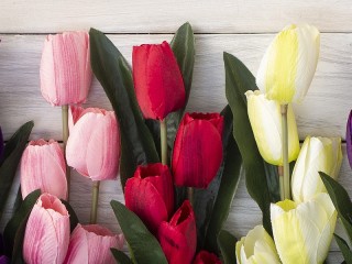 Rompicapo «Tulips»