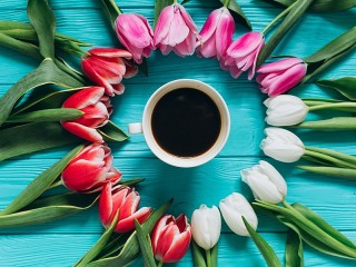 Слагалица «Tulips and drink»