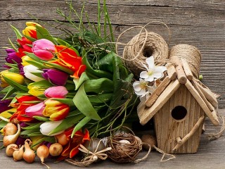 Jigsaw Puzzle «Tulips and birdhouses»
