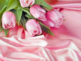Пазл «The tulips and fabric»