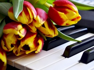 Пазл «Тюльпаны на рояле»