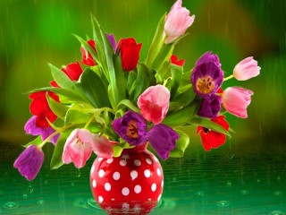 Jigsaw Puzzle «Tulips in the rain»
