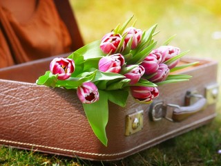 Пазл «Тюльпаны в чемодане»