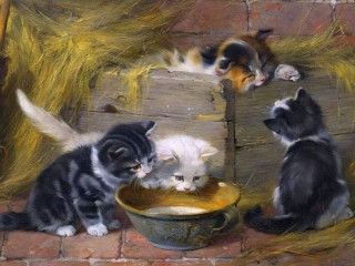 Rompicapo «At the bowl of milk»