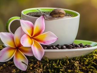 Jigsaw Puzzle «Snail and plumeria»