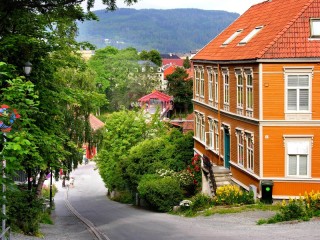 Slagalica «Street in Tornheim»