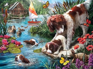 Jigsaw Puzzle «Swimming lesson»