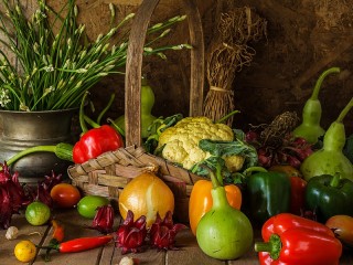 Puzzle «The harvest of vegetables»