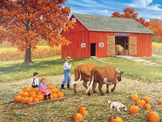 Quebra-cabeça «pumpkin harvest»