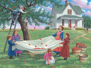 Пазл «Урожай яблок»