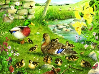 Jigsaw Puzzle «Duck family»