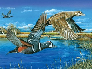 Jigsaw Puzzle «Duck»