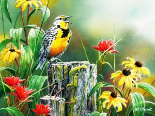 Jigsaw Puzzle «Morning warbles»