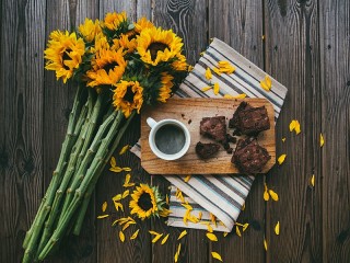 Rätsel «Morning sunflowers»