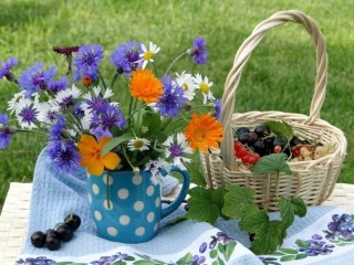 Rätsel «Morning in the garden»