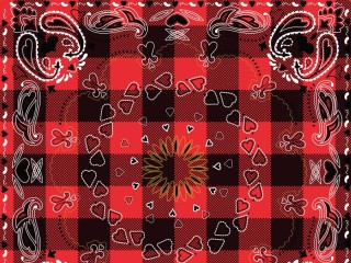 Jigsaw Puzzle «Patterned shawl»