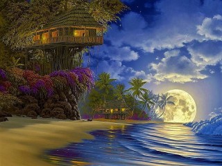 Jigsaw Puzzle «In the moonlight»