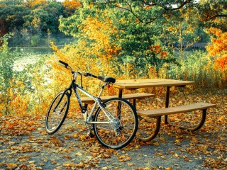 Пазл «In the park by the bench»