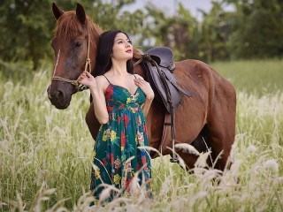 Пазл «In a field with a horse»