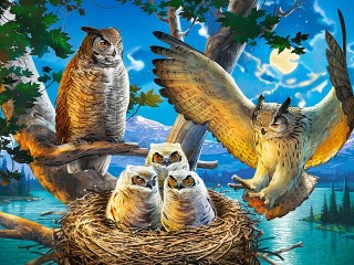 Jigsaw Puzzle «At the owl's nest»