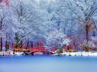 Jigsaw Puzzle «In the winter park»