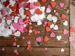 Jigsaw Puzzle «Valentines and fur»