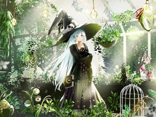Jigsaw Puzzle «The witch in the greenhouse»
